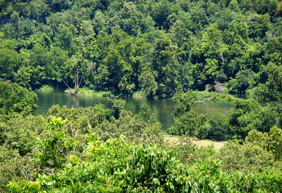 [This section of the river's water has a green cast to it as it sits amidst all the trees and greenery which comes right up to the water's edge.]